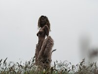 gillian barnes leaked pics
